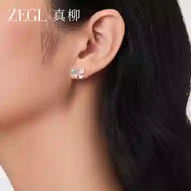 ZEGL S925