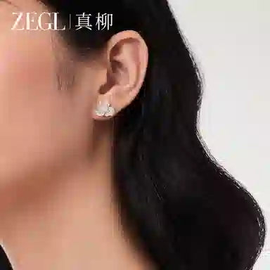 ZEGL S925