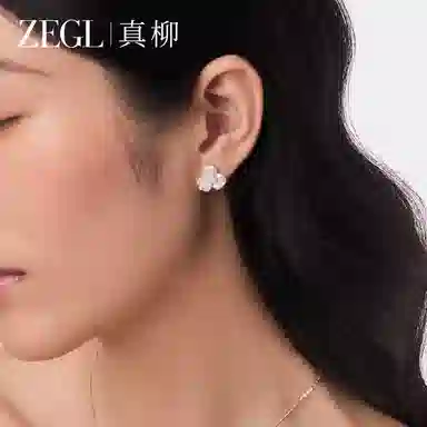 ZEGL S925