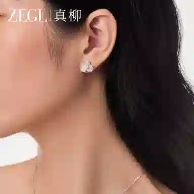 ZEGL S925