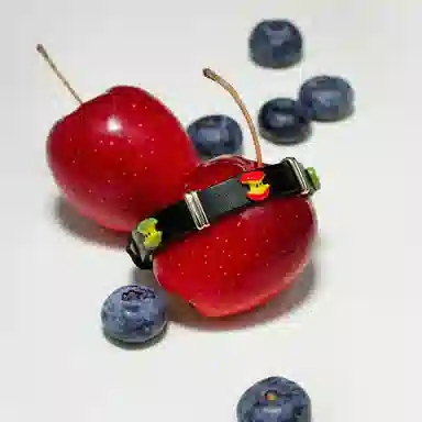 iCEGIANT Cool Feast S925