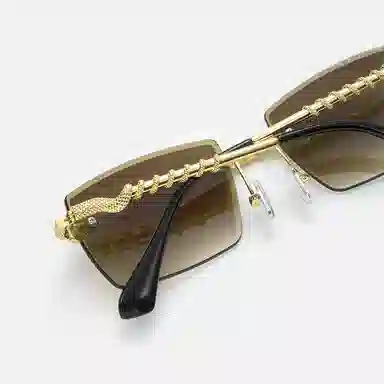 iCEGIANT Snake Square Sunglasses