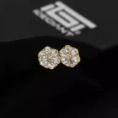 iCEGIANT iGT ins 925