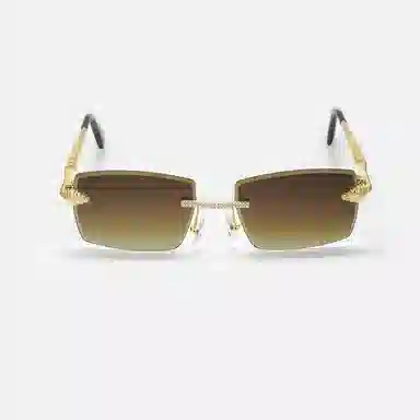 iCEGIANT Snake Square Sunglasses
