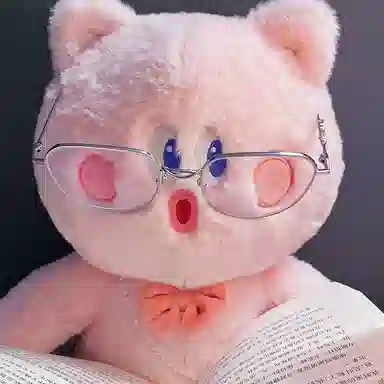 Kinbor MIMO 27cm