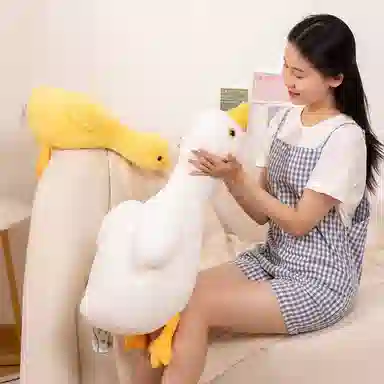 MDH 50cm70cm