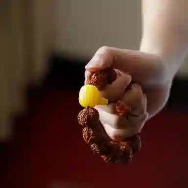 陌阡雪 国潮中式满肉经典款五瓣 金刚菩提 手串 男女同款情侣款