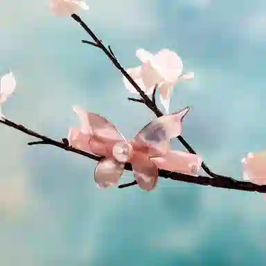 ALEXANDRE DE PARIS 8