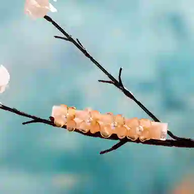 ALEXANDRE DE PARIS 8