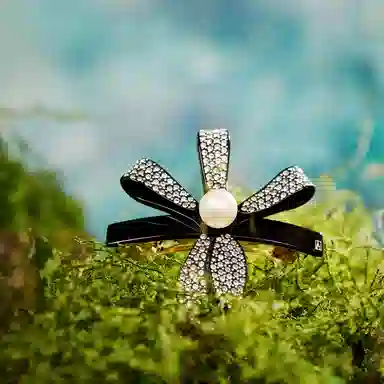 ALEXANDRE DE PARIS 8