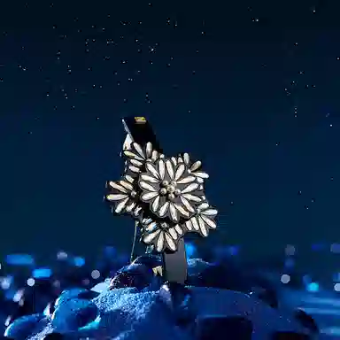 ALEXANDRE DE PARIS 8