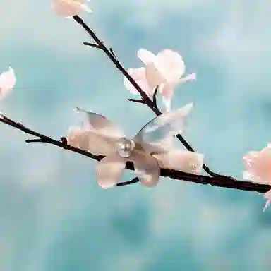 ALEXANDRE DE PARIS 8