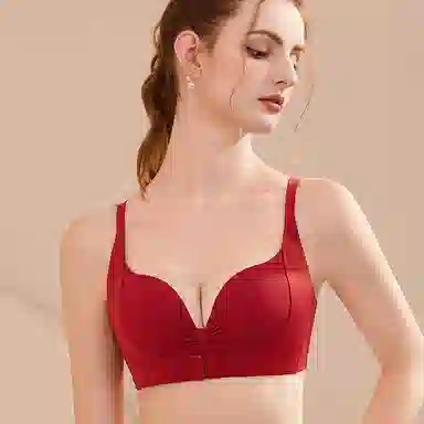 bra