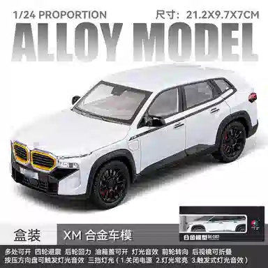 CHE ZHI 124XM