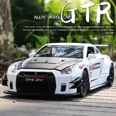 CHE ZHI GTR DIY