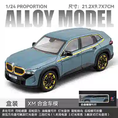 CHE ZHI 124XM
