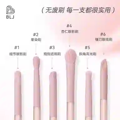 BLJ 6
