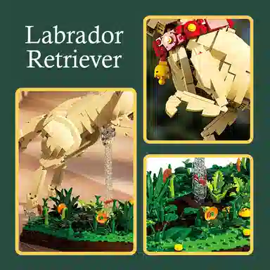 LABRADOR RETRIEVER 1257pcs YMXJM66060
