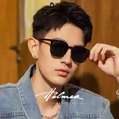 HELMER Sunglasses