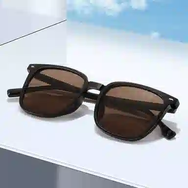 HELMER Sunglasses