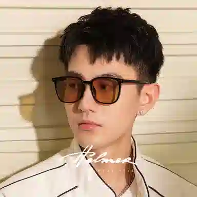 HELMER Sunglasses