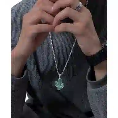 暖瞳 仙人掌 钛钢 项链 男款