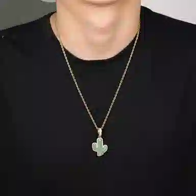 暖瞳 仙人掌 钛钢 项链 男款