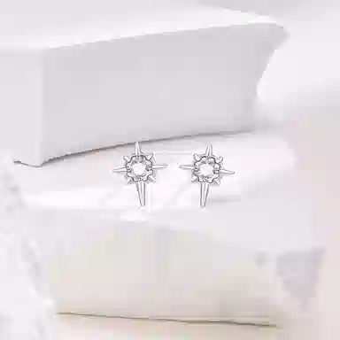 Lianduo Starburst 925 Silver Earrings