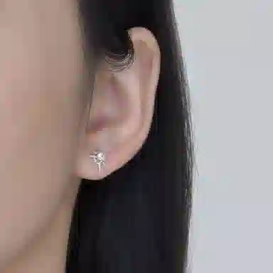 Lianduo Starburst 925 Silver Earrings