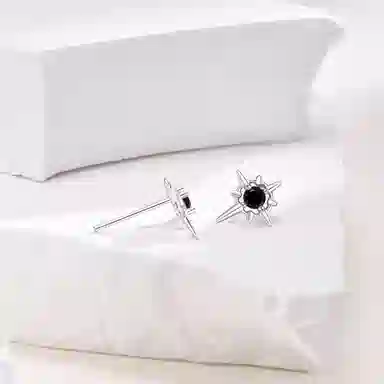Lianduo Starburst 925 Silver Earrings