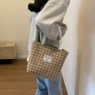 Boniu ins