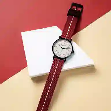 Biella Quartz Watch