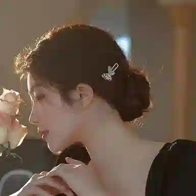 贯古今 优雅头饰品仙女侧边刘海夹前额碎发复古发卡甜美蝴蝶 合金 发夹 女款