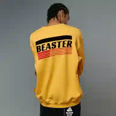 BEASTER cityboy