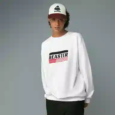 BEASTER cityboy