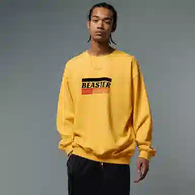 BEASTER cityboy