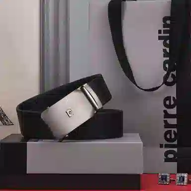 PIERRE CARDIN