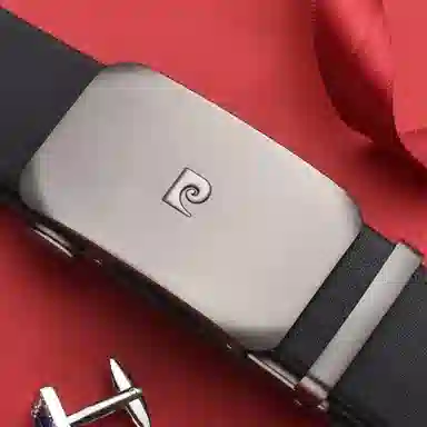 PIERRE CARDIN