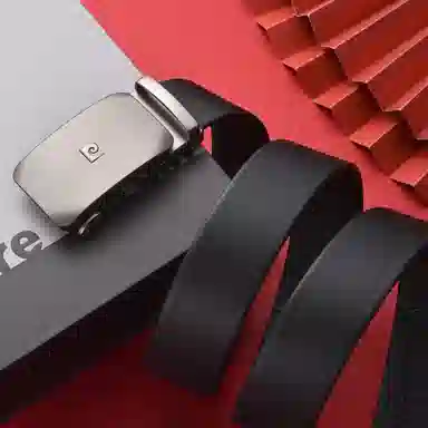PIERRE CARDIN