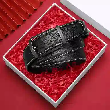 Pierre Cardin Belt