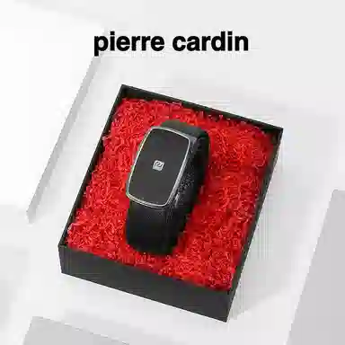 PIERRE CARDIN