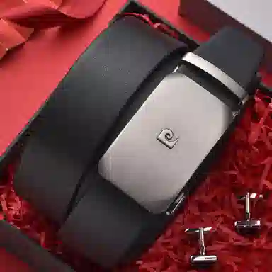 PIERRE CARDIN