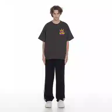 Evil lions T