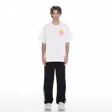 Evil lions T