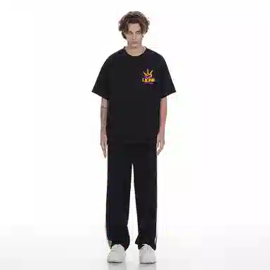 Evil lions T