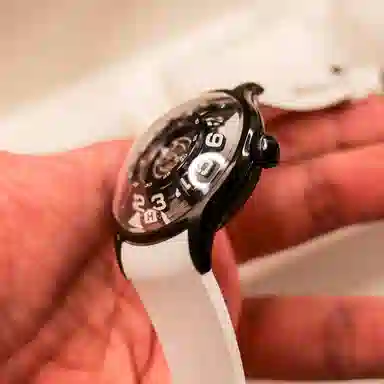 REEF TIGER OBL-BLM-FX