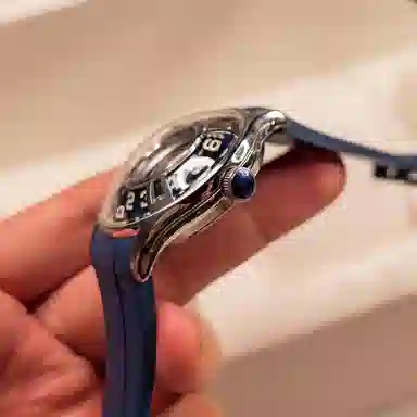 REEF TIGER OBL-BLM-FX