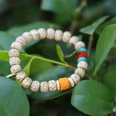 LIBALU