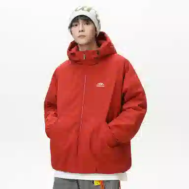 vitro 3D Snow Mountain Down Hoodie