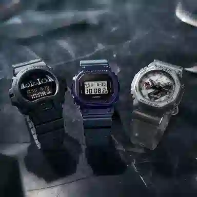CASIOG-SHOCK DW-5600NNJ-2PR